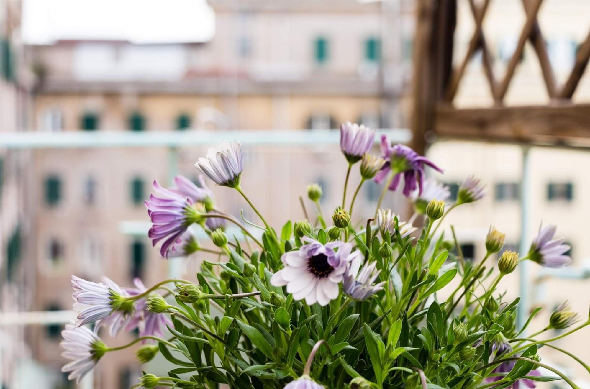 Hôtel Torripa Group - Prati à Rome Chambre photo