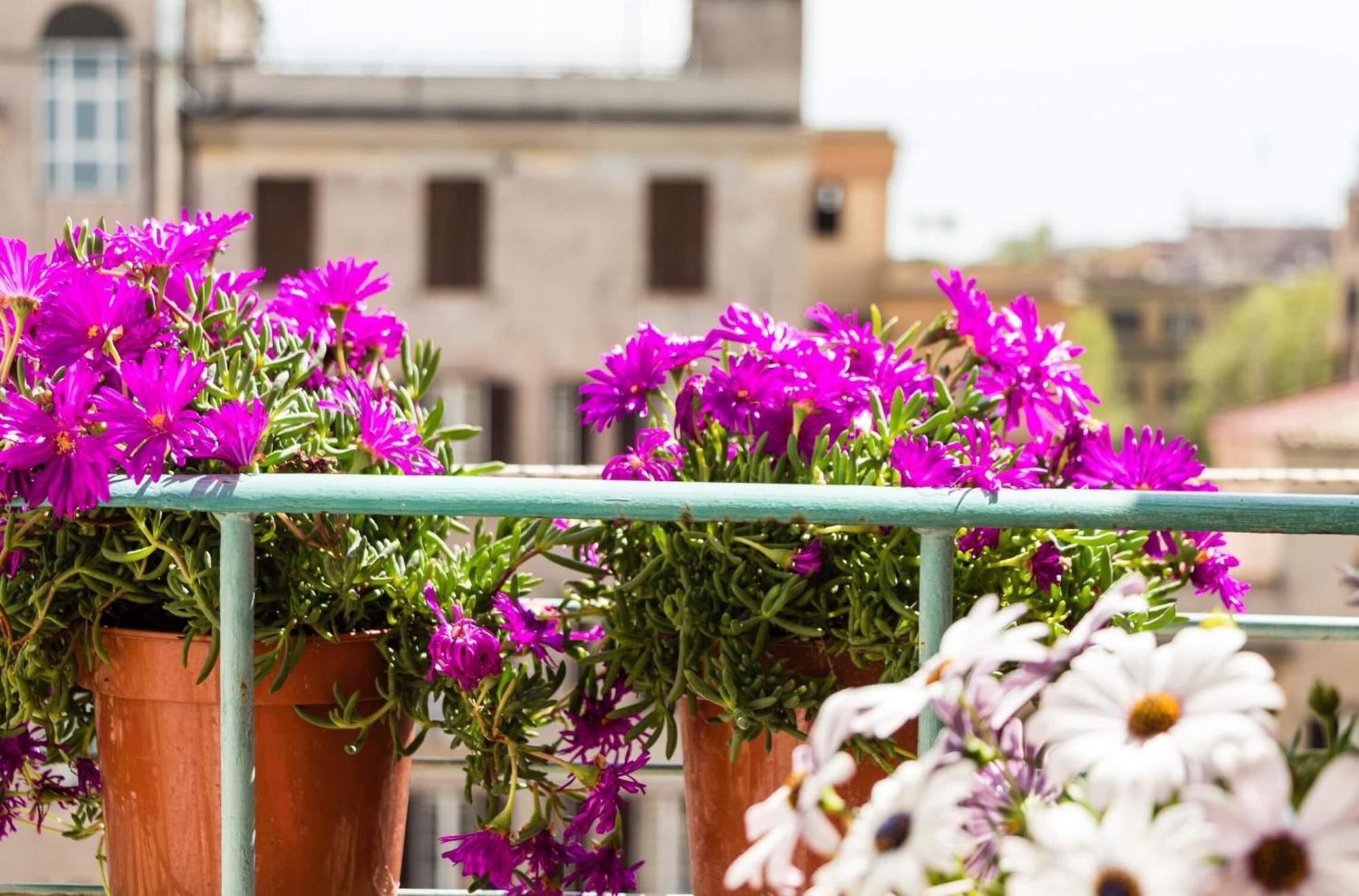 Hôtel Torripa Group - Prati à Rome Chambre photo